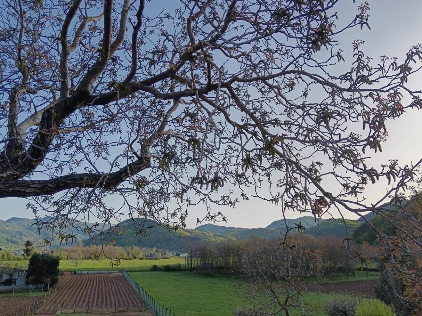 Agriturismo Casa Della Nonna Морманно Екстер'єр фото