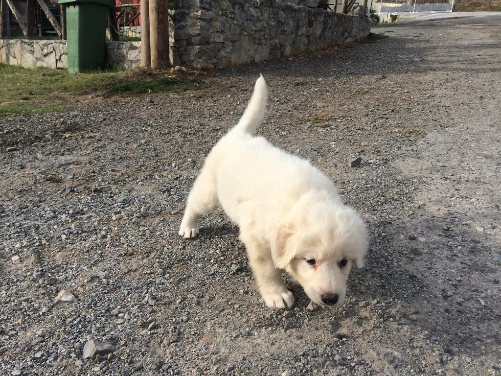 Agriturismo Casa Della Nonna Морманно Екстер'єр фото